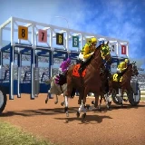 Bet Horse Racing