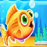 Cute Fish Tank